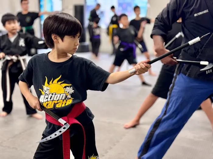 Action Karate Phoenixville Picture 7