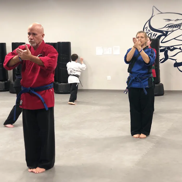 Action Karate Phoenixville Picture 5
