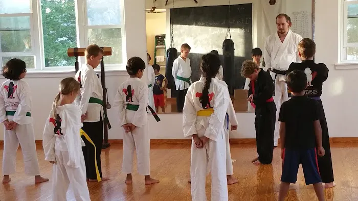 Martial Arts Studio Picture 4