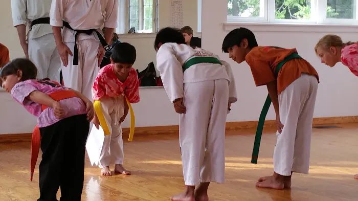Martial Arts Studio Picture 9