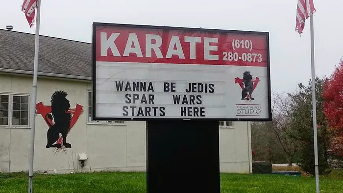 Martial Arts Studio Picture 10