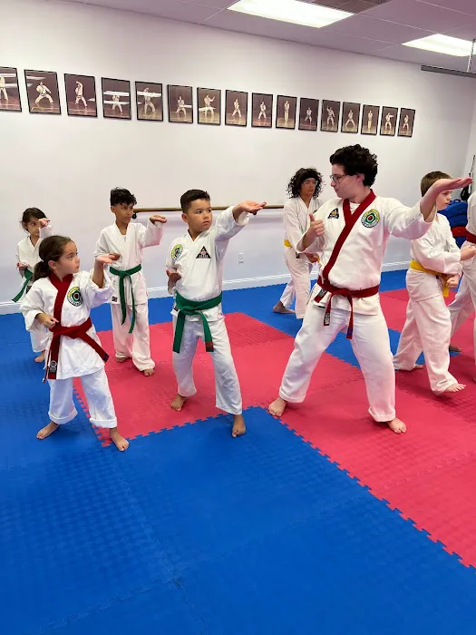 Moo Do Karate Academy LLC Picture 9