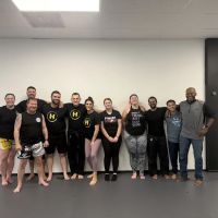 Hybrid Martial Arts ico