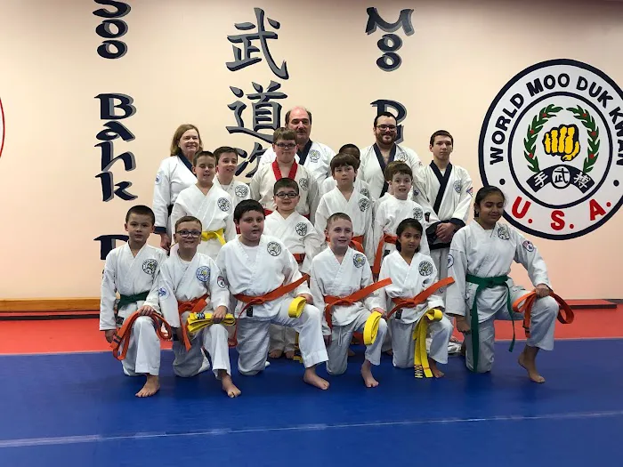 Brnich Karate Academy Picture 6