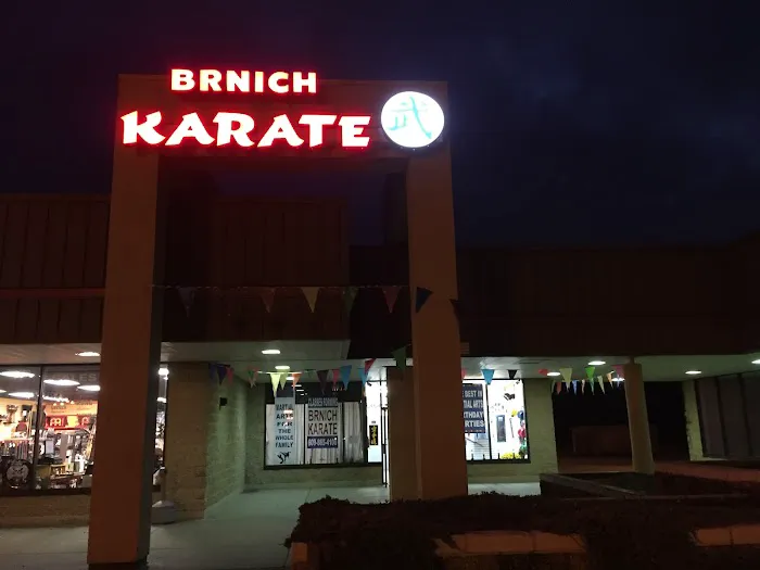 Brnich Karate Academy Picture 2