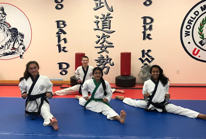 Brnich Karate Academy Picture 7