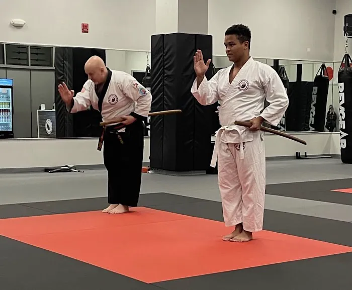Martial Arts Institute and Fitness Picture 4