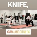 Martial Arts Institute and Fitness