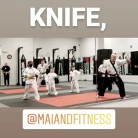 Martial Arts Institute and Fitness ico