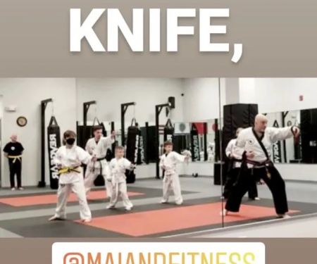 Martial Arts Institute and Fitness