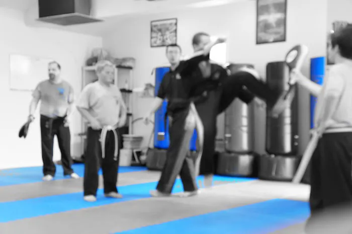 Gary Quillen's Moo Sa Black Belt Academy Picture 8