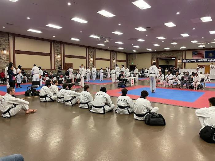 Amkor Karate Institutes Picture 1