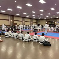 Amkor Karate Institutes ico