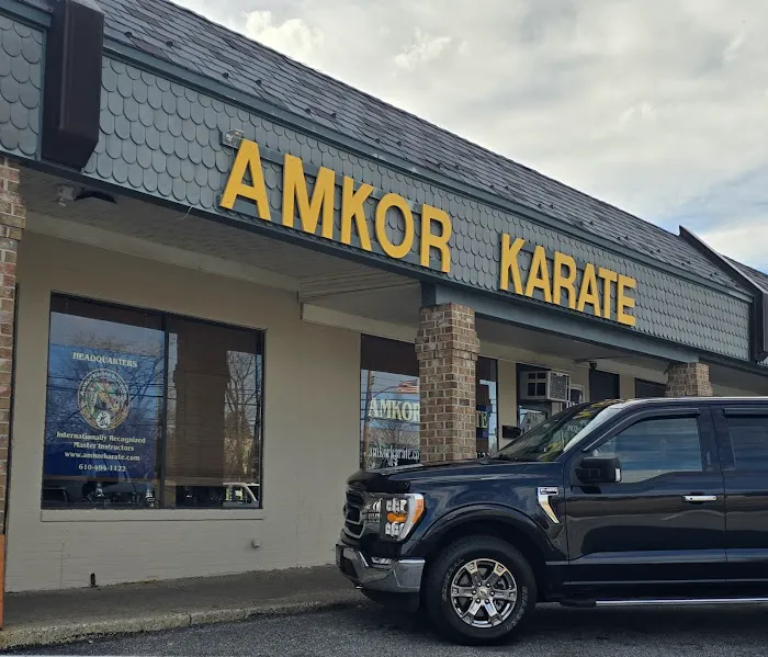 Amkor Karate Institutes Picture 2