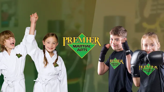 Premier Martial Arts Glen Mills Picture 3
