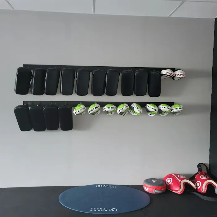 Studio X Mixed Martial Arts & Fitness Picture 3