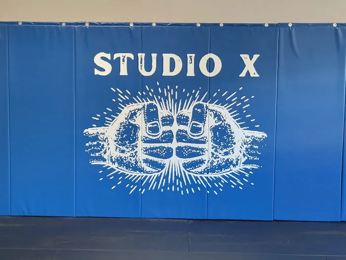 Studio X Mixed Martial Arts & Fitness Picture 7