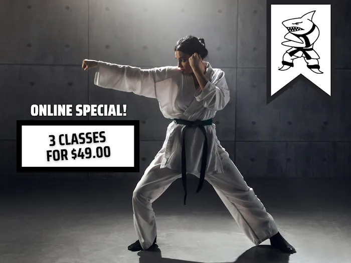 Action Karate Bethlehem Picture 10