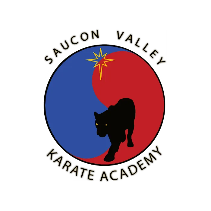 Saucon Valley Karate Academy Picture 7