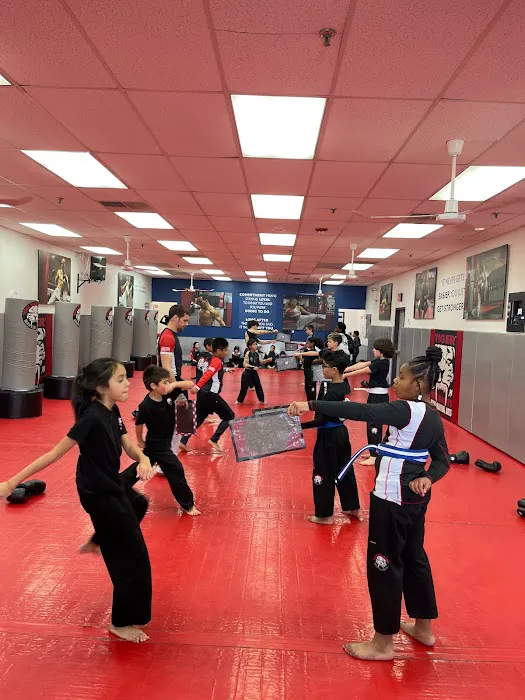 Tiger Schulmann's Martial Arts (Bethlehem, PA) Picture 3