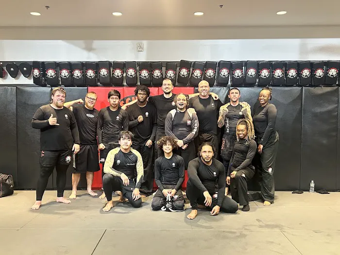 Tiger Schulmann's Martial Arts (Bethlehem, PA) Picture 6