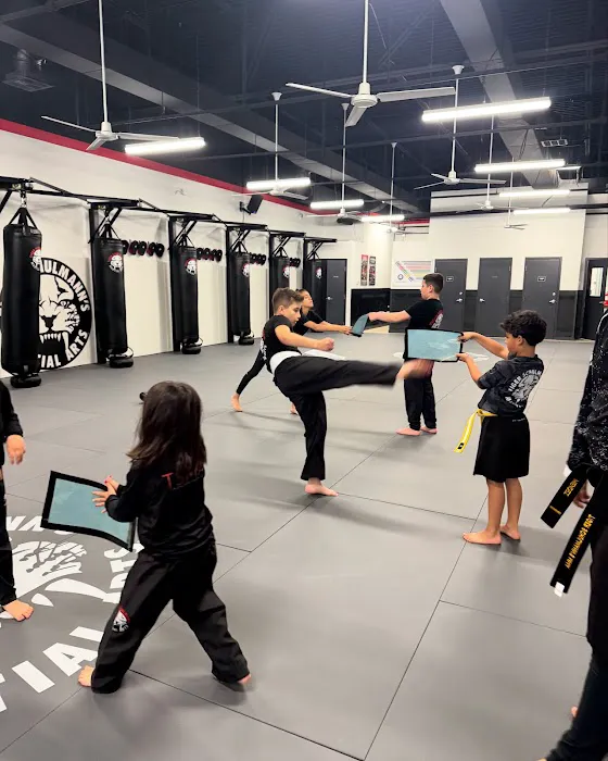Tiger Schulmann's Martial Arts (Bethlehem, PA) Picture 4