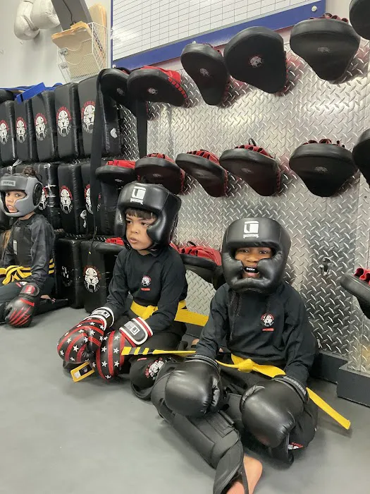 Tiger Schulmann's Martial Arts (Bethlehem, PA) Picture 5