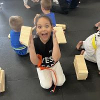 Prime Martial Arts ico