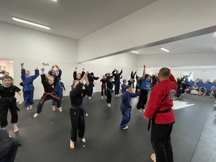 Prime Martial Arts Picture 8