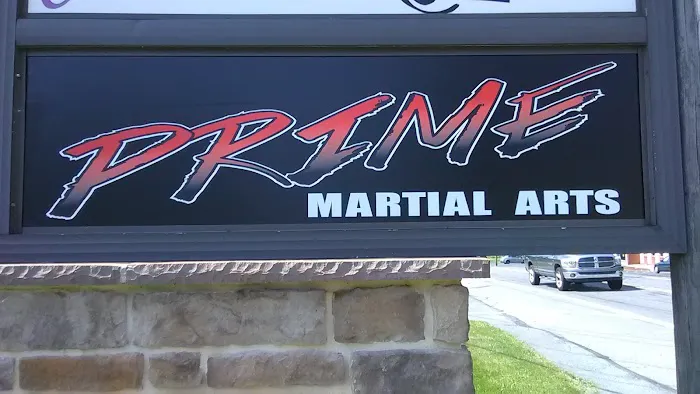 Prime Martial Arts Picture 6