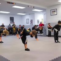 Action Karate Whitehall ico