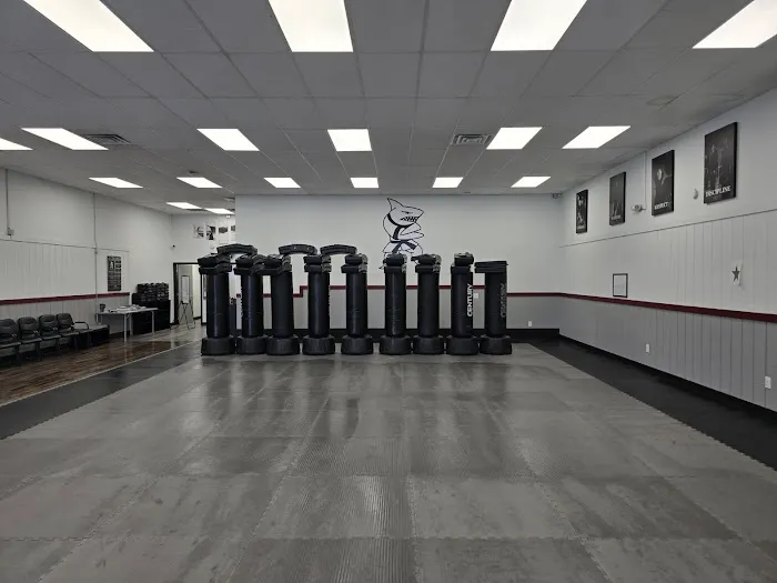 Action Karate Whitehall Picture 3