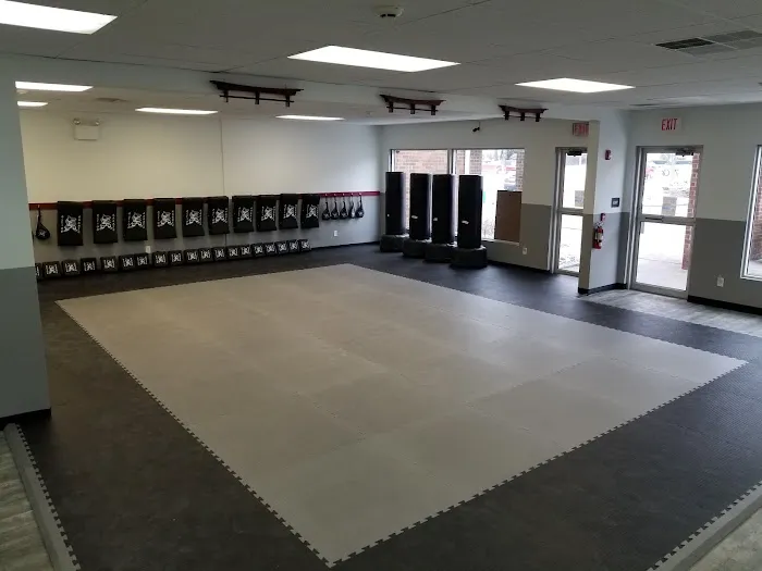 Action Karate Whitehall Picture 2