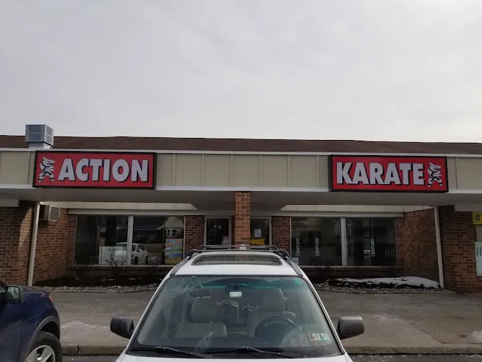 Action Karate Whitehall Picture 9