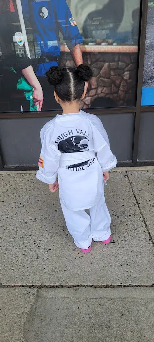 Lehigh Valley Martial Arts: Trexlertown Picture 9