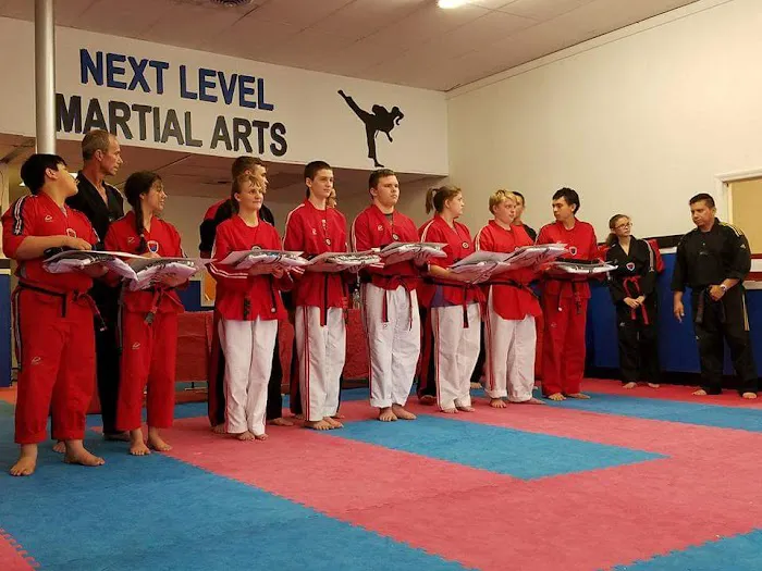 Next Level Martial Arts Picture 1