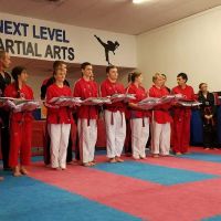 Next Level Martial Arts ico