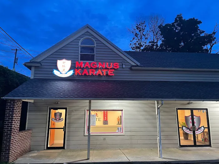 Magnus Karate Picture 2