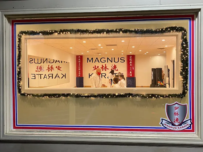 Magnus Karate Picture 6