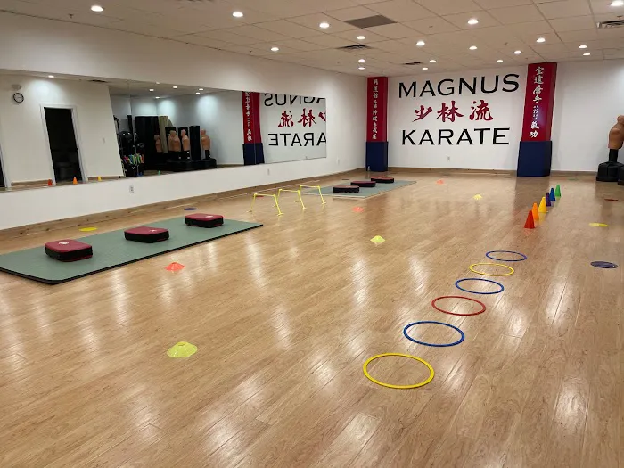 Magnus Karate Picture 4