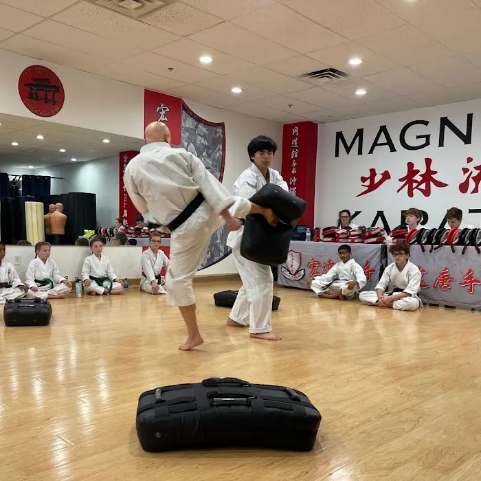 Magnus Karate Picture 8