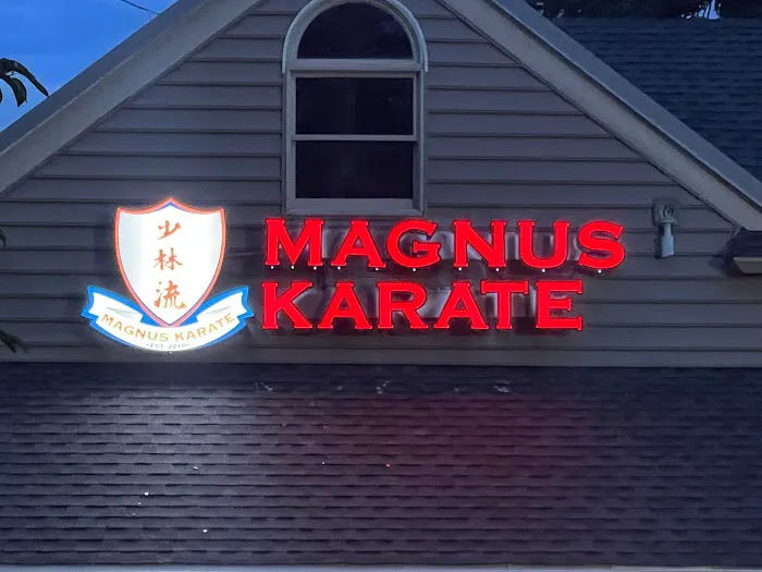 Magnus Karate Picture 7