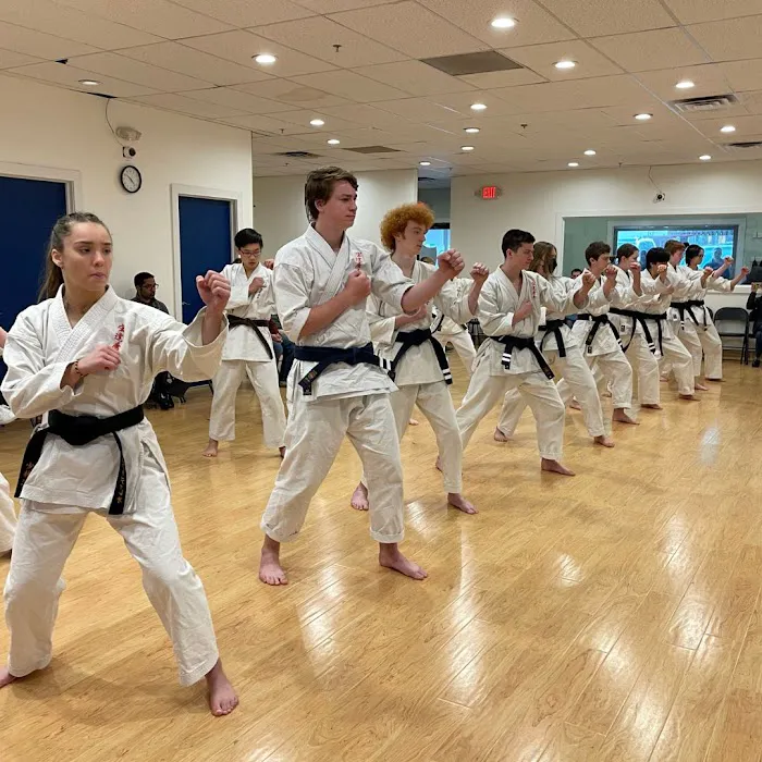 Magnus Karate Picture 10