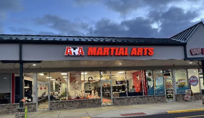 Momentum Martial Arts Picture 4