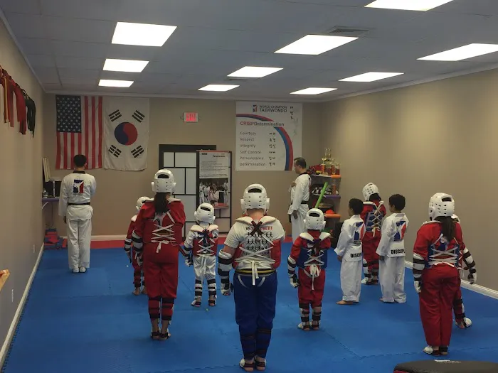 World Champion Tae Kwon Do at Guilford Picture 3