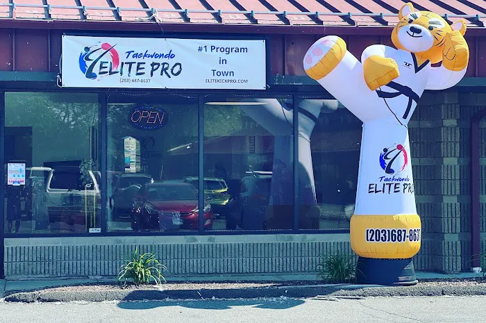 Elite-Pro Martial Arts Picture 10