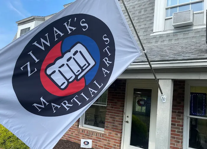 Ziwak's Martial Arts Picture 2