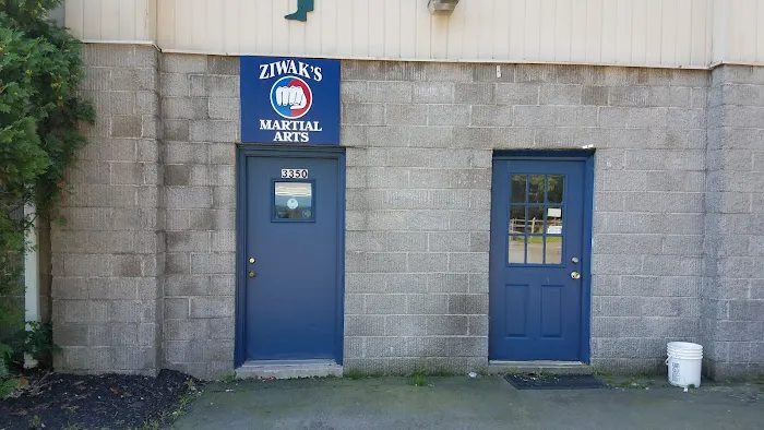 Ziwak's Martial Arts Picture 1