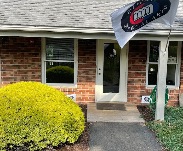 Ziwak's Martial Arts Picture 5