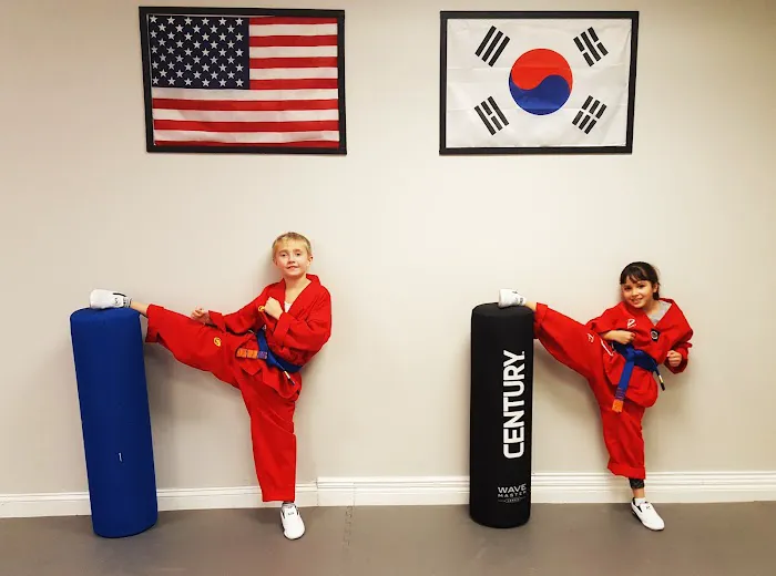 Olympic Taekwondo Academy Picture 3